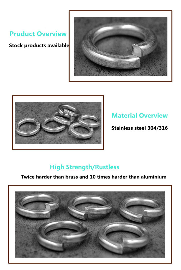stainless Steel Spring Washer Made in China