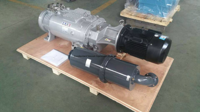 Environmental Protection Dry Screw Vacuum Pump (LGB-30DV)