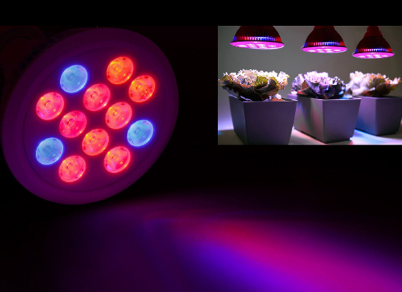 Mini Bloom PAR38 E27 12W LED Grow Light with Best Price