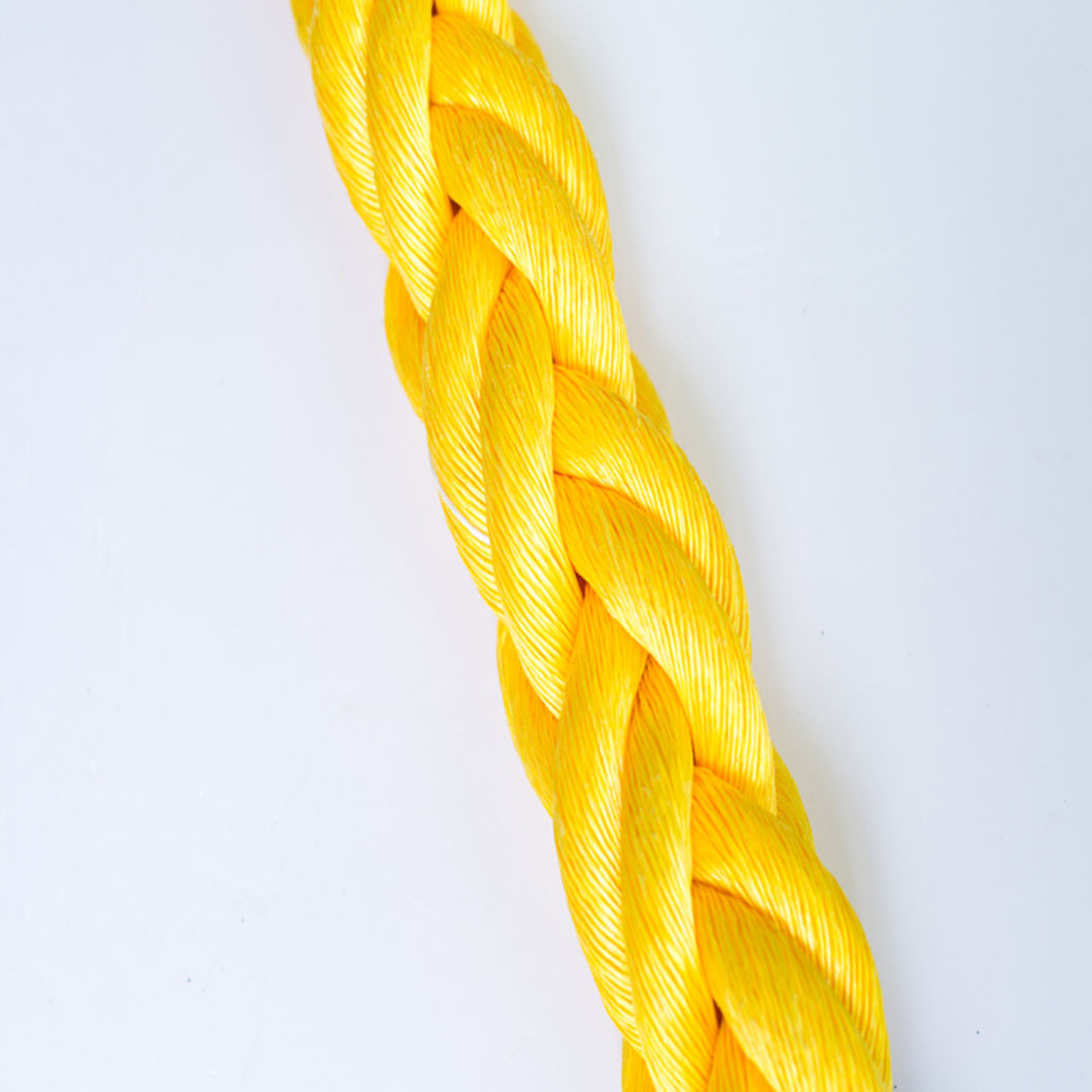 8 Strand PP Braided Rope with Yellow&Bule Color