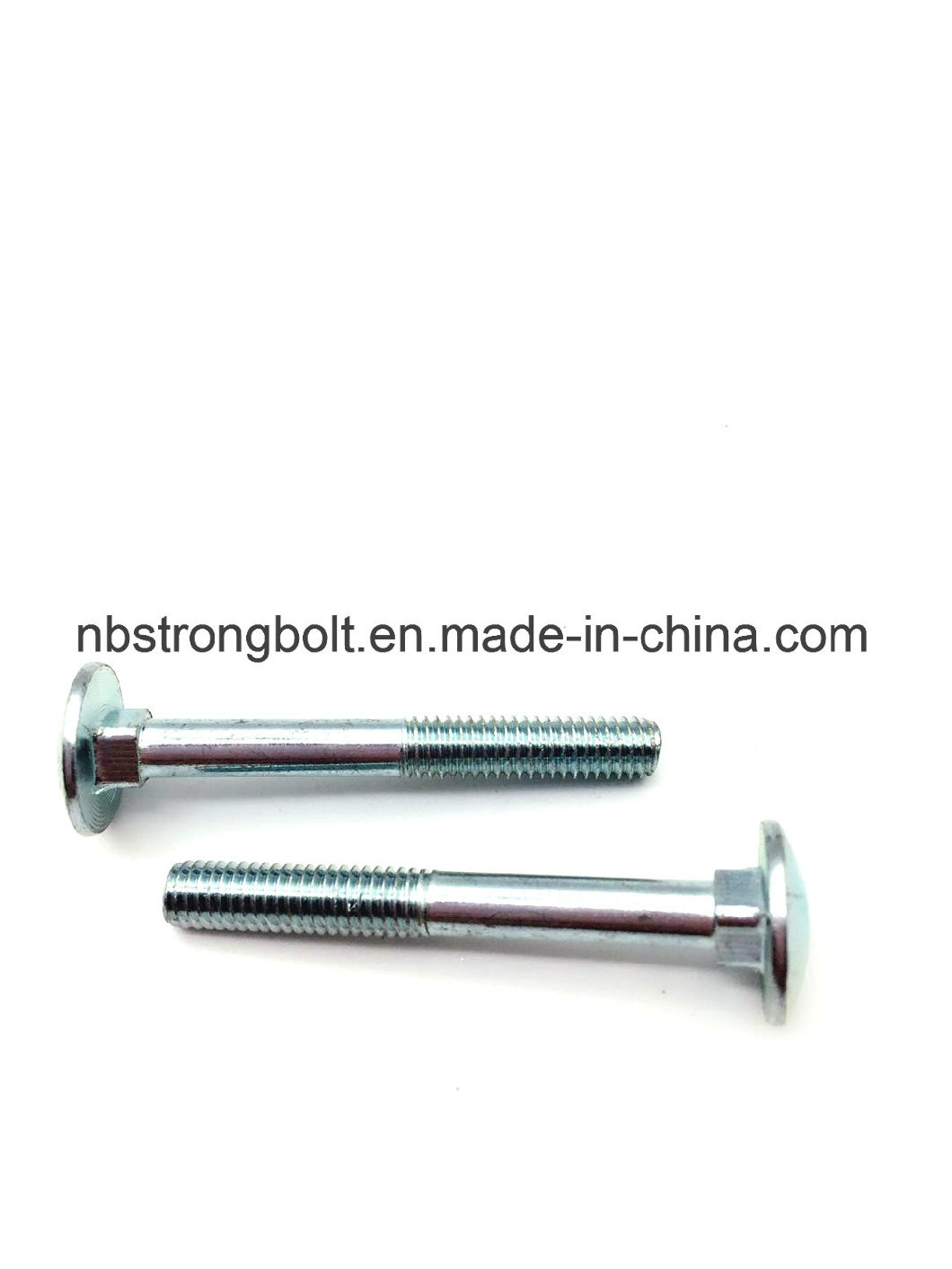 Mushroom Head Square Neck Bolt with Zp