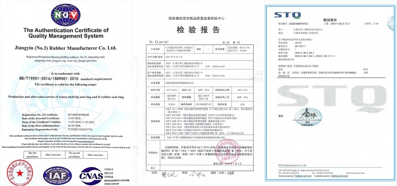 High Temperature Waterproof Fluorosilicone Oil Seal