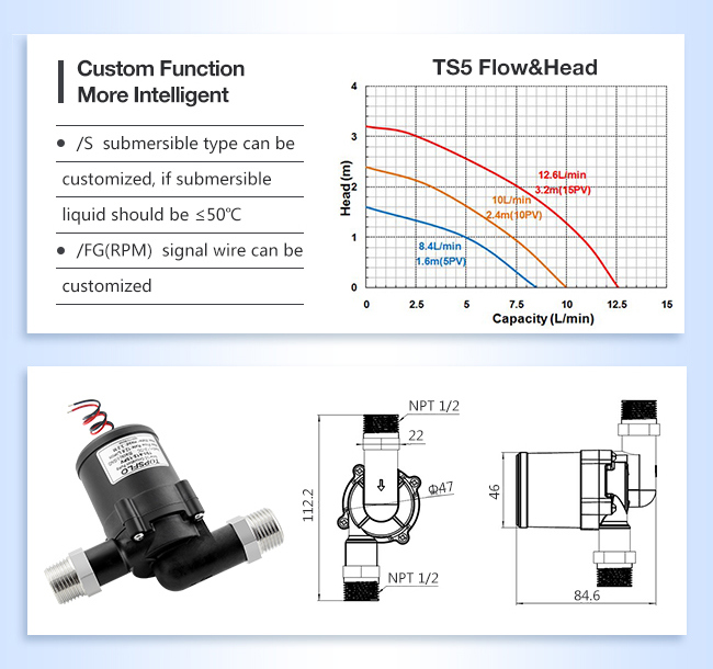 Small DC Brushless Motor 12V Water Pumps