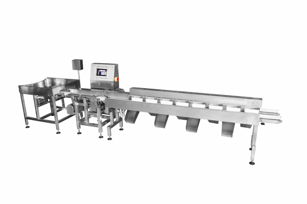 High Accuracy Double Channel Multistage Sorting Machine for Sea Food