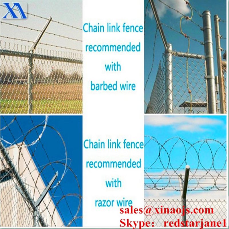 High Quality PVC Coated Chain Link Fence