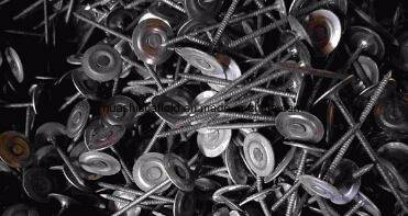 China Factory Supply High Quality Black Boiled Concrete Nails