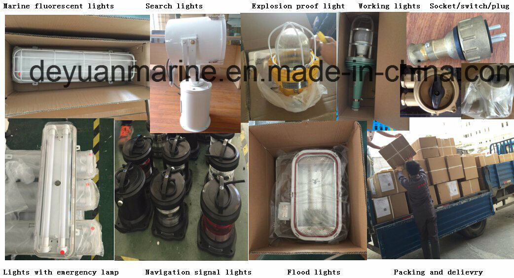 Marine CSD1 Potable Light for Ship Used