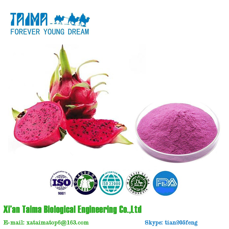 ISO Approved 100% Pure Natural Organic Dragon Fruit Powder, High Quality Dragon Fruit Powder