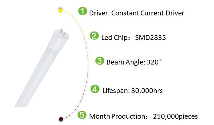 Hot Selling T8 End Caps T5 Pins 4FT 22W Intergrated T5 LED Tube Light