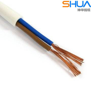 Power Cable (RVV)