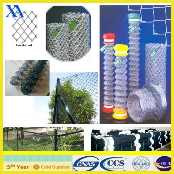 5*5cm PVC Coated Galvanized Chain Link Fence for Guard/Wire Mesh Fence Panel (XA-CL005)
