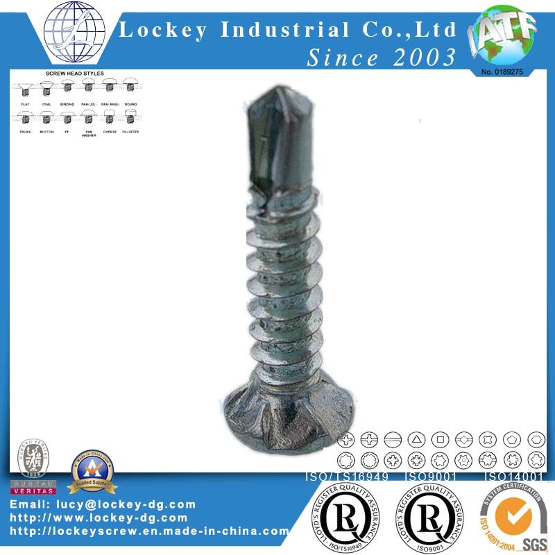 Stainless Steel 410 Phillips Pan Head Self Drilling Screw