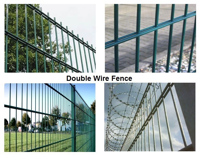 PVC Coated and Galvanized Wire Mesh Fencing Rolls