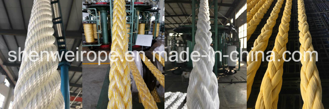 All Kinds 4mm-96mm Mooring Rope with Certificates