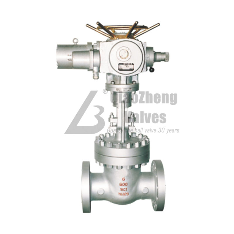 ANSI/API/ASTM/ASME Stainless Steel Carbon Steel Flanged Wedge Rising Stem Gate Valve Z41h