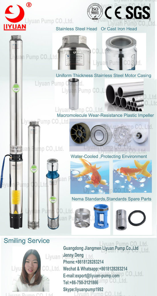 Protecting Environment Water Cooled 6 Inch Deep Well Solar Bore Hole Pumps