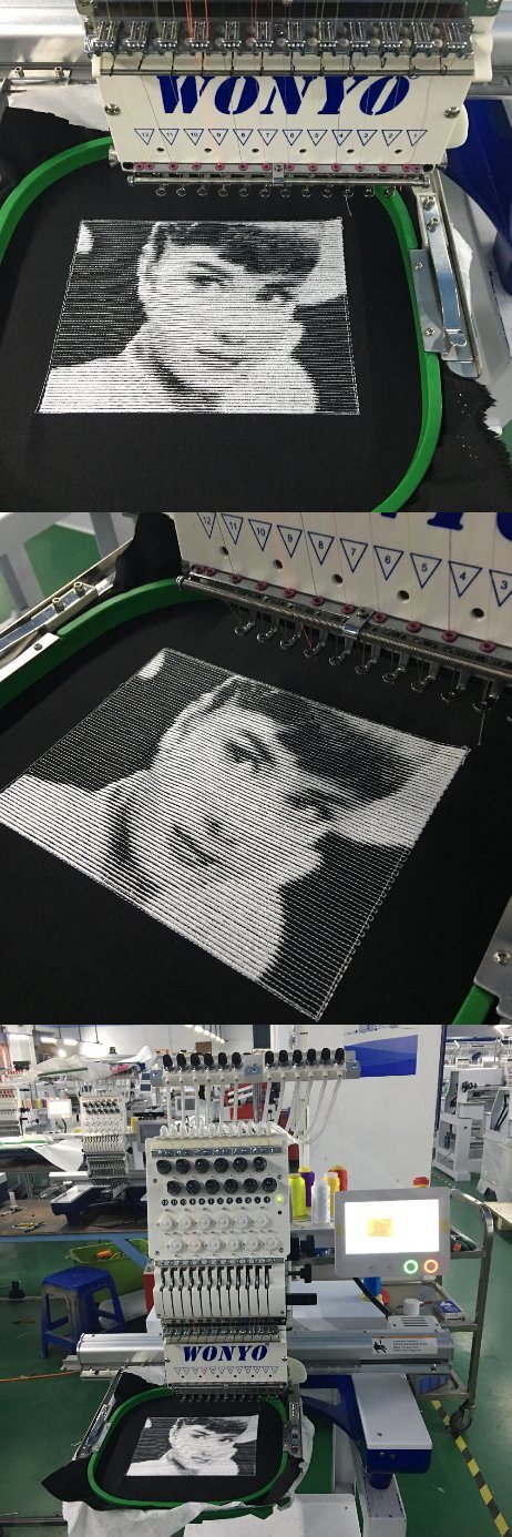 Single Head Compact/Tubular/Computerized/Feiya Embroidery Machine for Cap/Tshirt/Flat