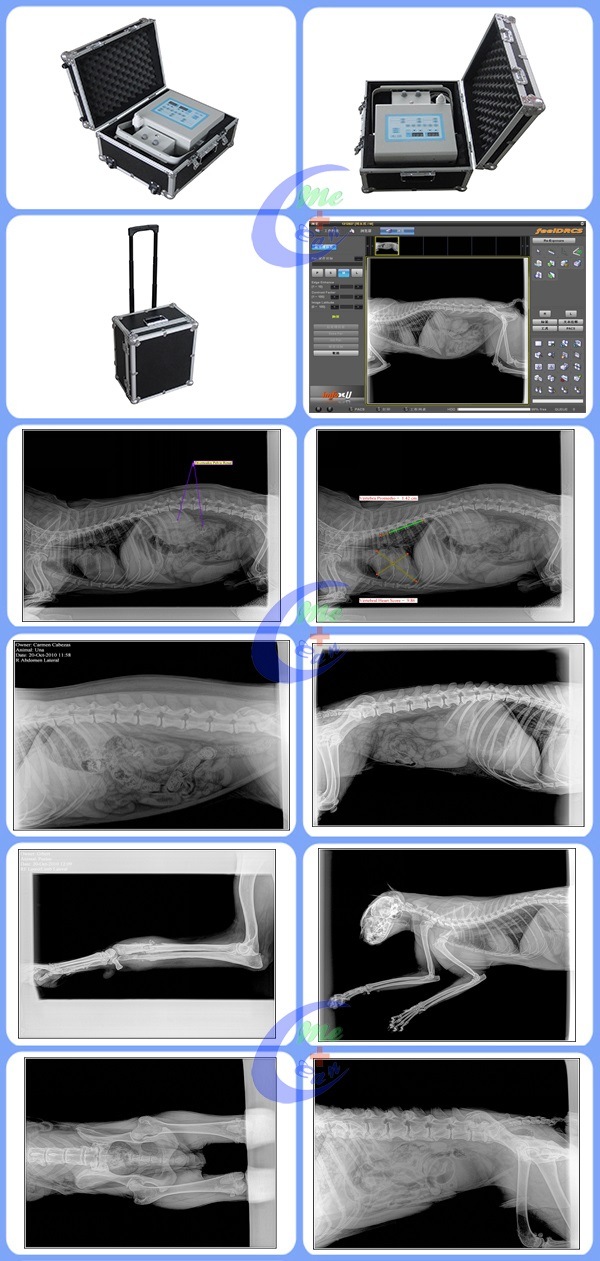 China Dog Portable Digital X-ray Machine