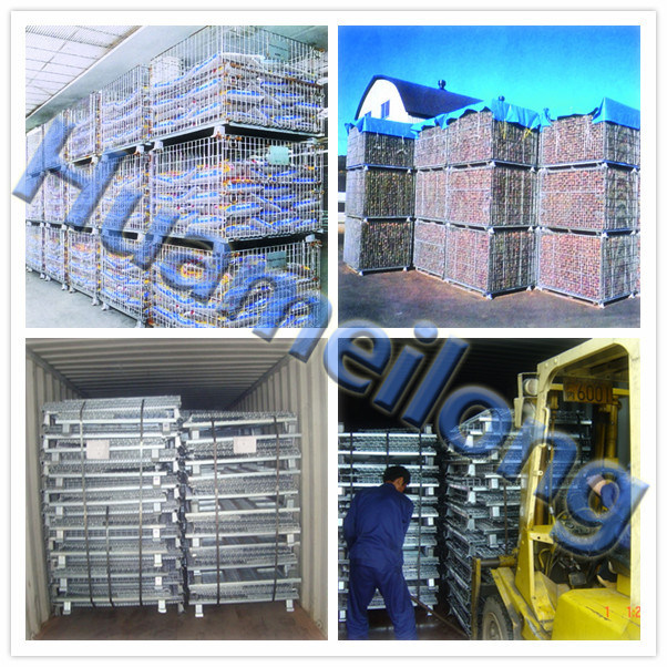 Warehouse Collapsible Customed Hot DIP Zinc Wire Mesh Storage Cage