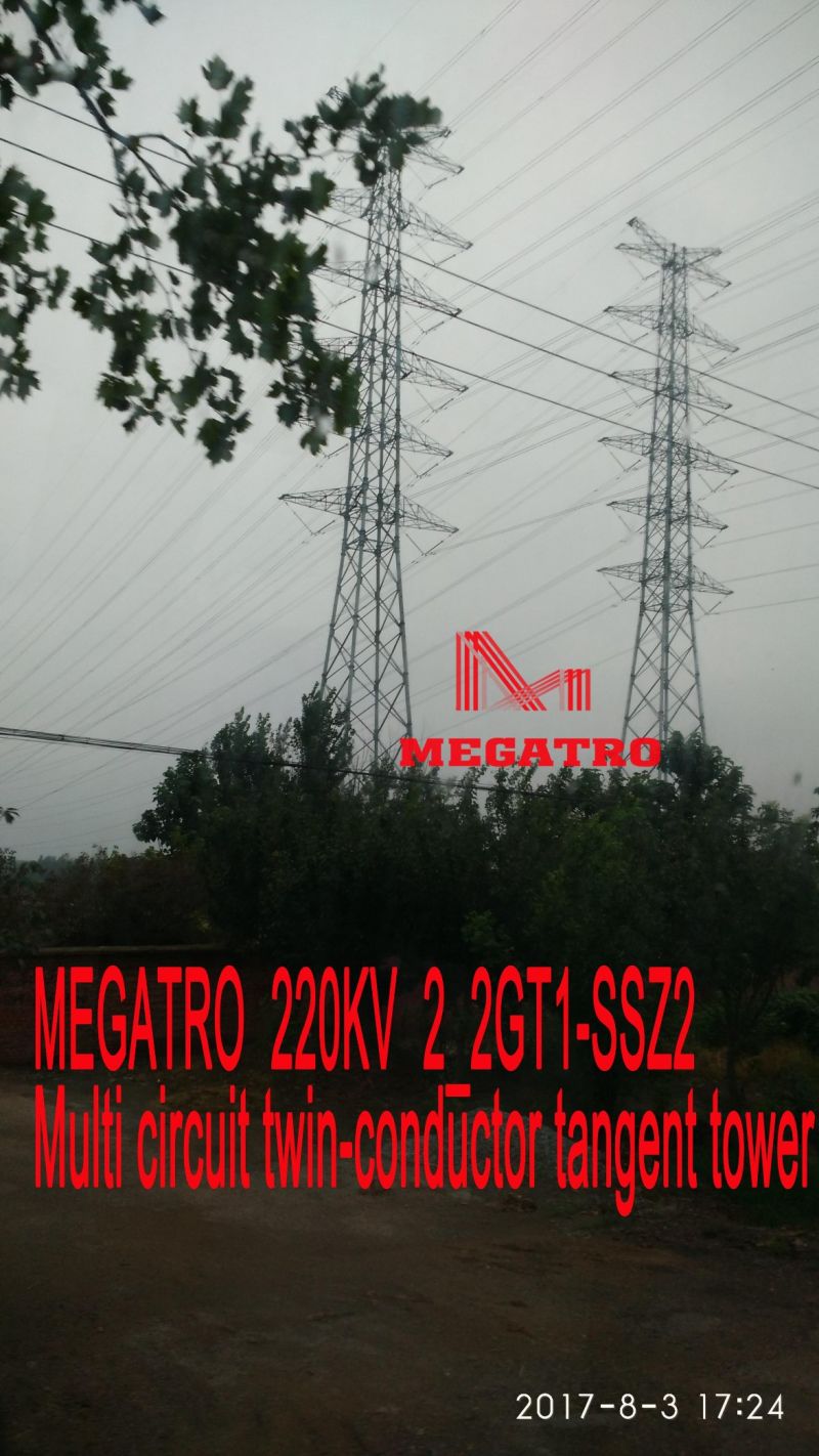 Megatro 220kv 2_2gt1-Ssz2 Multi Circuit Twin-Conductor Tangent Tower