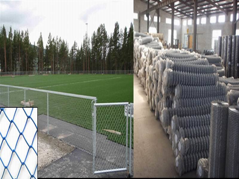 PVC Coated Stainless Steel Wire Mesh Chain Link Fence