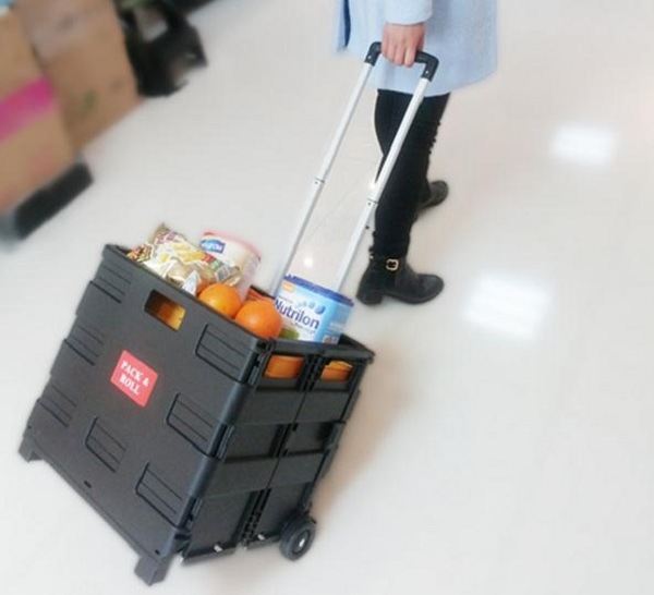 Portable Plastic Folding Basket for Shopping