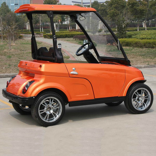 Mini 2 Seats Street Legal Golf Cart with Ce (DG-LSV2)