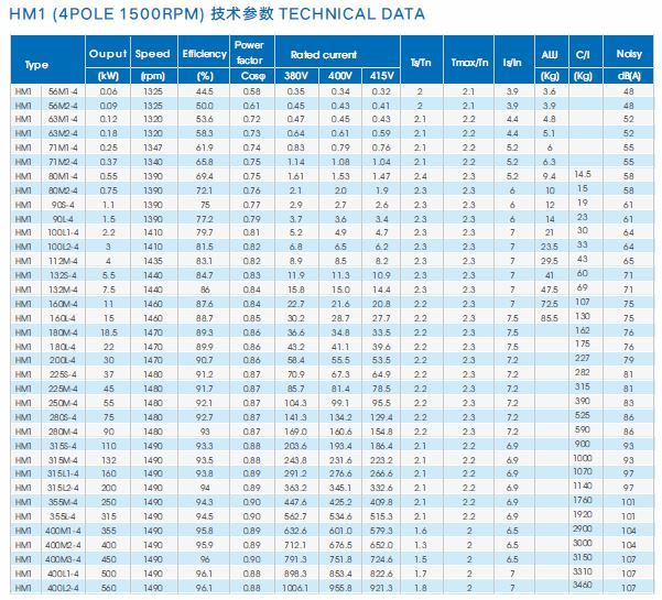 Hm (Y2, YE2, YE3) Series Three Phase High/ Premium Efficiency Electric Motor