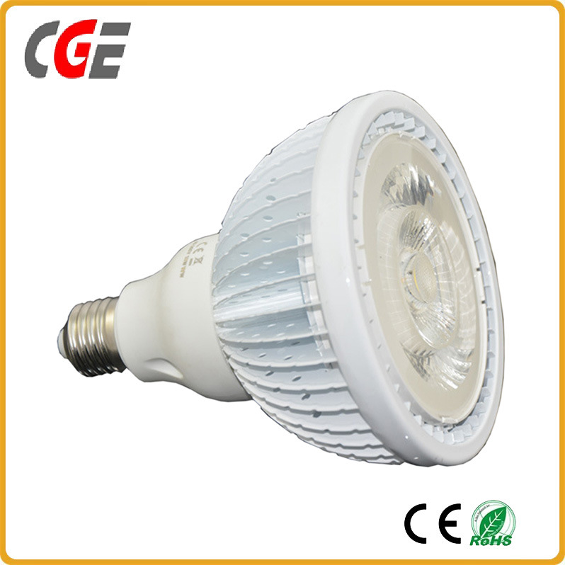 LED Lighting PAR Lamps PAR38-COB 1380lm AC100~265V PAR30 Low Price LED Light LED Bulb