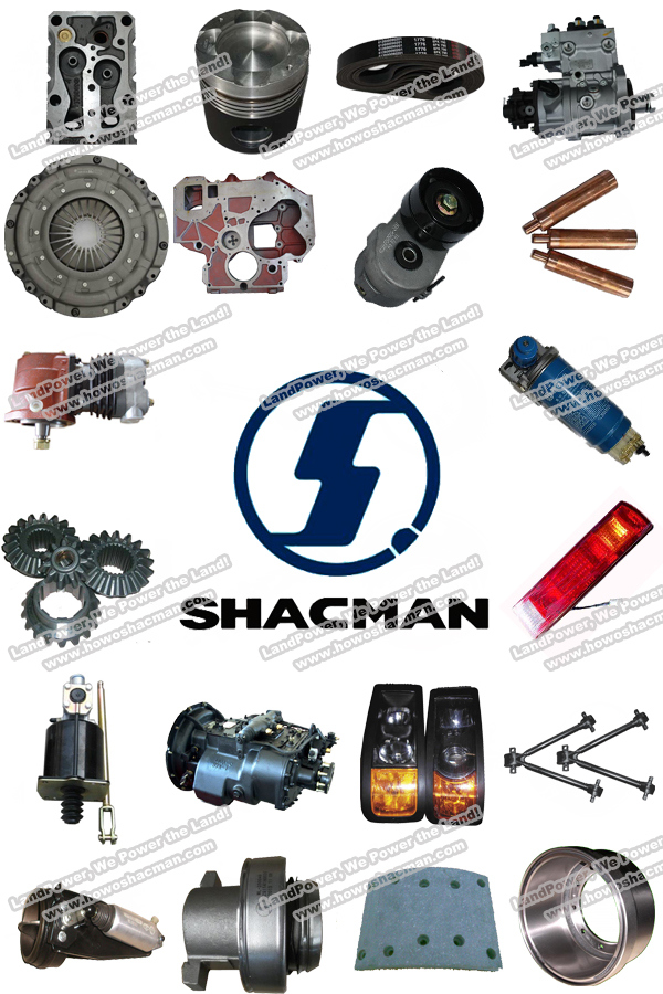 Shacman T Tractor Truck Spare Parts High Quality Auto Spare Parts for Shacman Truck with SGS Certification (F3000 F2000)