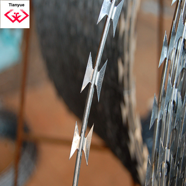 Durable Galvanized Razor Wire (TYH-008)