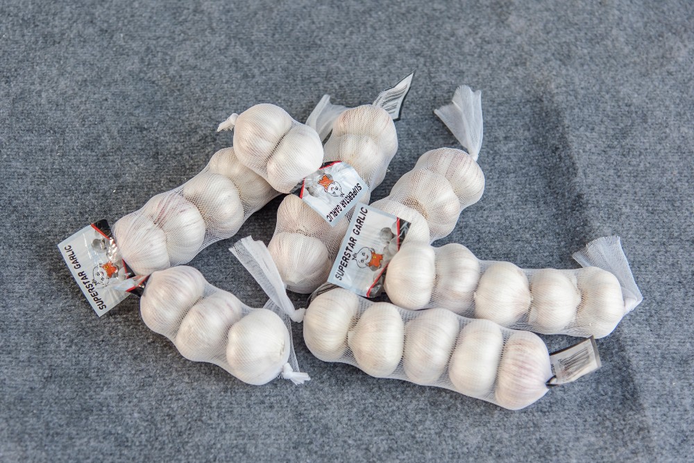 factory directly supply top grade fresh garlic factory directly supply top grade fresh garlic