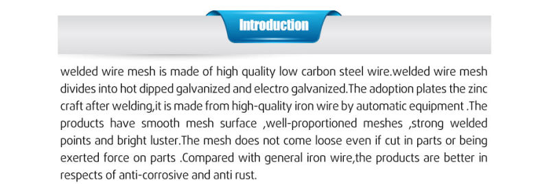 High Quality Low-Carbon Steel Wire Welded Wire Mesh / Square Hole Galvanized Welded Wire Mesh