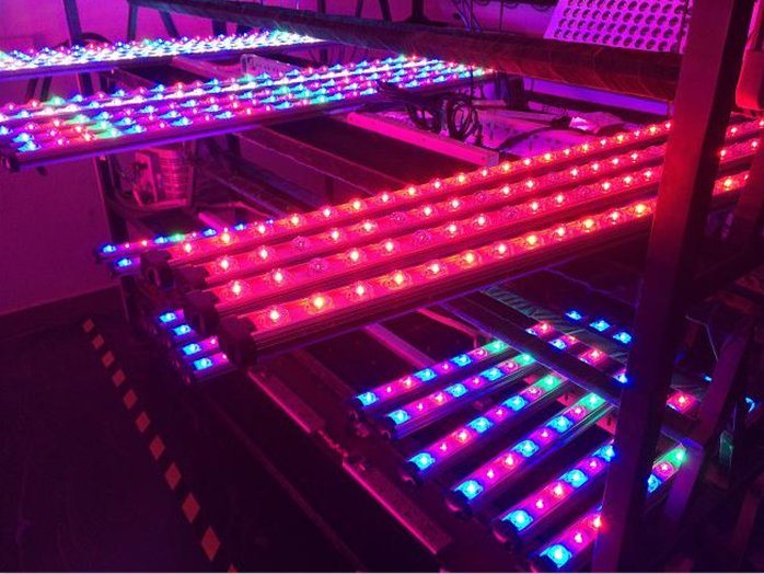 60cm 90cm 120cm Energy-Efficient Indoor LED Grow Lights Bar for Home Grows and Commercial Applications