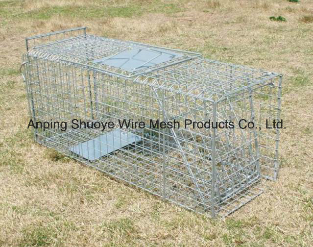 Humane Rabbit Rat Mink Grey Squirrel Small Raccoon Possum Cat Folding Live Animal Cage Trap