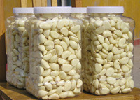 Carton Packing Fresh Peeled Garlic (180-220grains/kg)