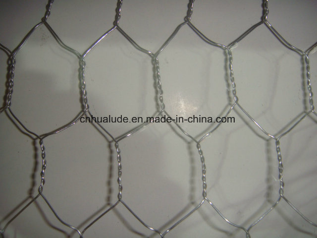 Hot Dipped Heavy Galvanized Hexagonal Chicken Wire Mesh