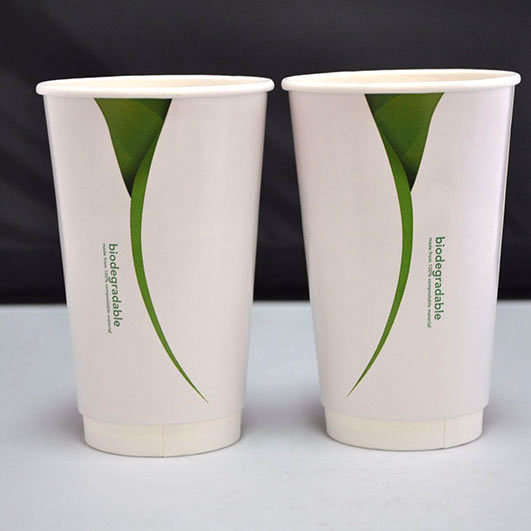 Custom Biodegradable Disposable Paper Cup for Hot Drink