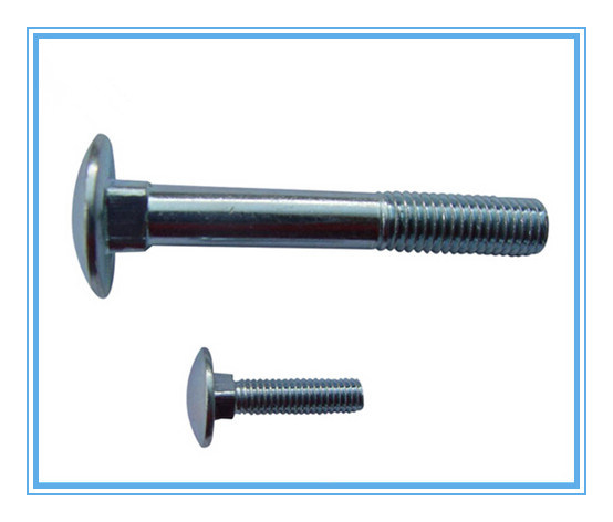 Stainless Steel Carriage Bolt, Mushroom Head, Square Neck Bolt, DIN603