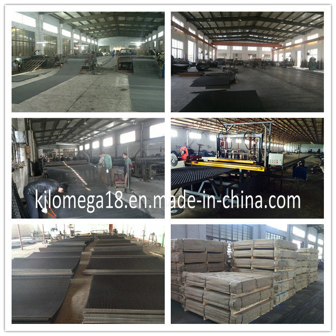 Crimped Wire Mesh with High Carbon Steel for Crusher