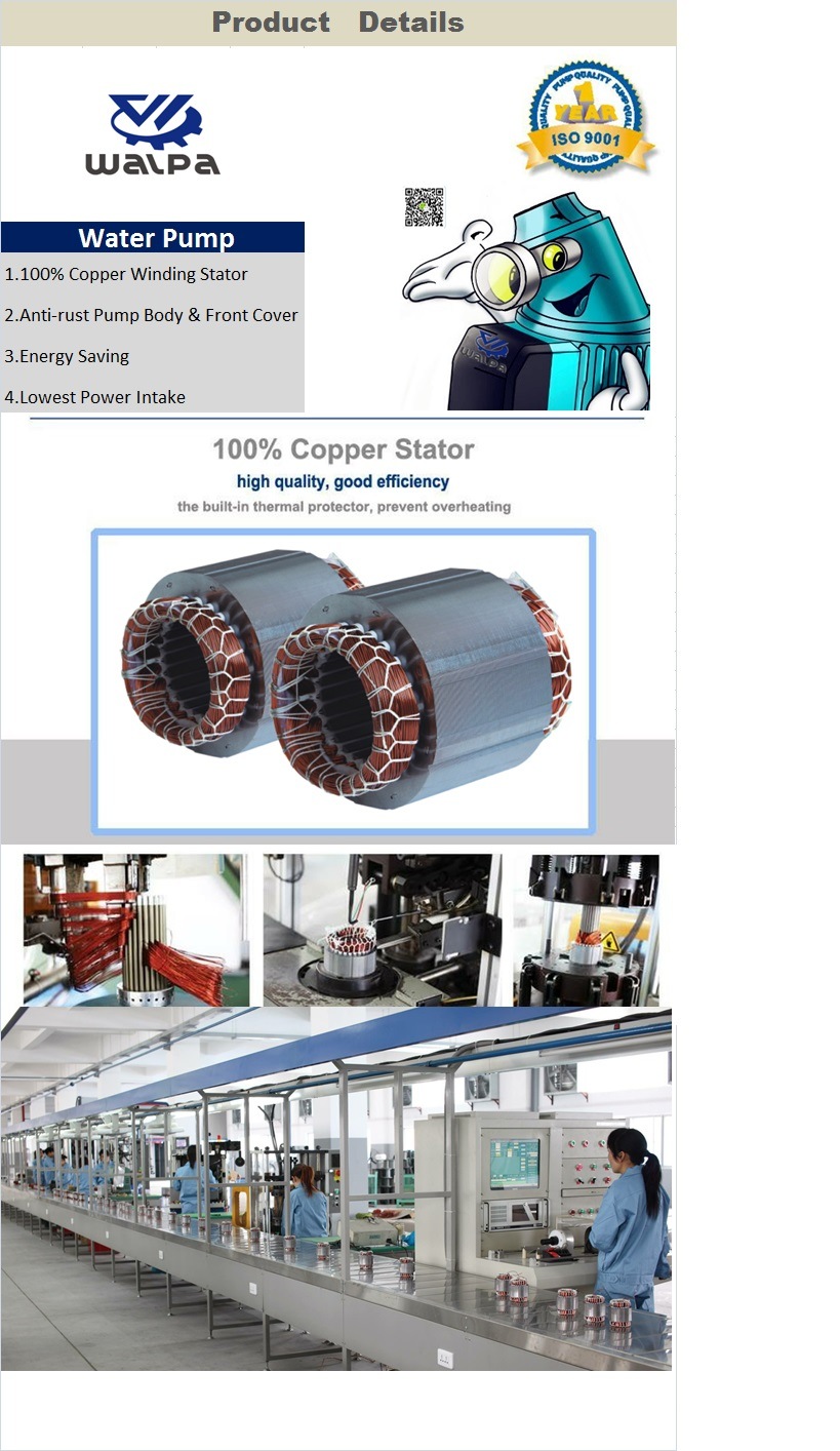 Horizontal Long Shaft Centrifugal Multistage Pump