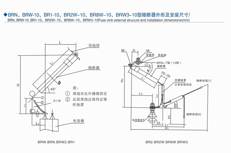 HRC Fuse Brw2 Power Fuse