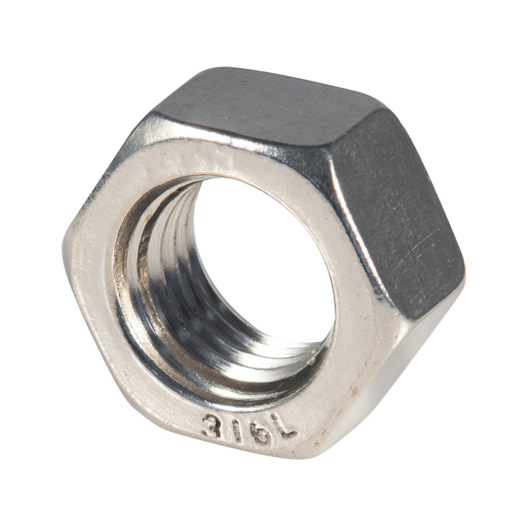 1.4404 Stainless Steel Ss316L DIN934 Hex Nut