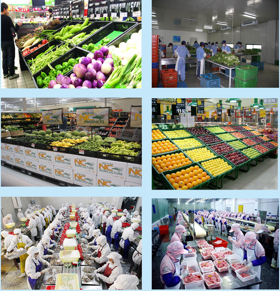 K13 Plastic Foldable Logistic Turnover Crate for Vegetables and Fruits