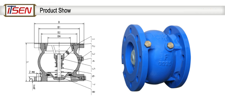 DIN Cast Iron Silient Automatic Check Valve Pn16