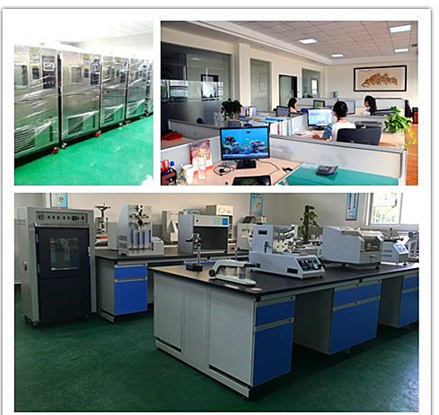 Wds-1/2/3/5 Digital Display Electronic Universal Laboratory High Quality Testing Equipments