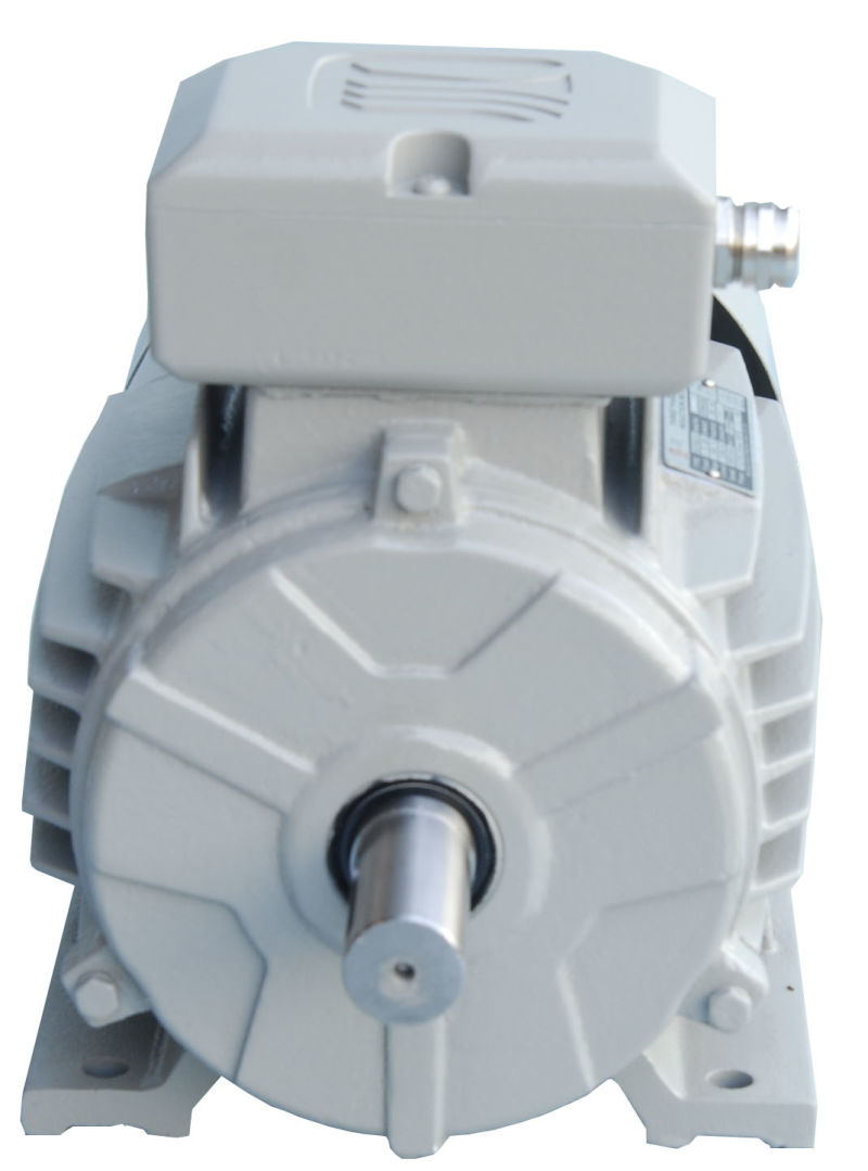 Ie2, Ie3 High Efficiency Three Phase Electric Motor
