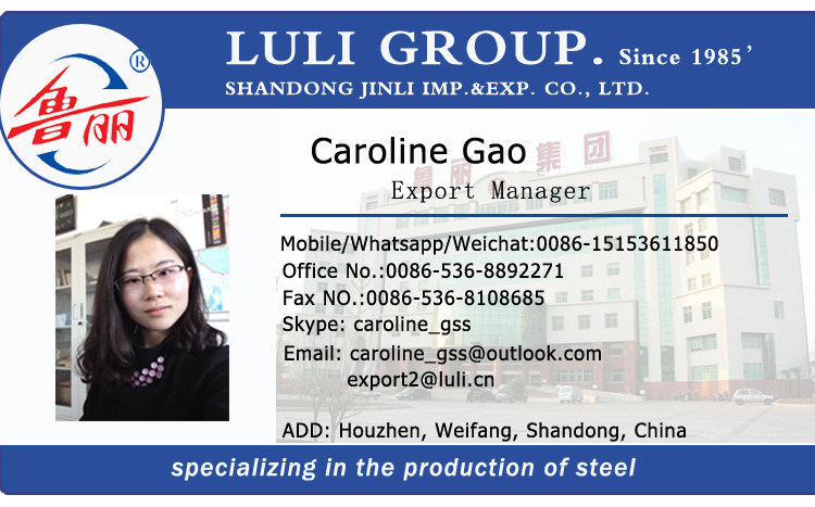 ERW Hot DIP Galvanized Steel Tube BS1387 Galvanized Steel Pipe