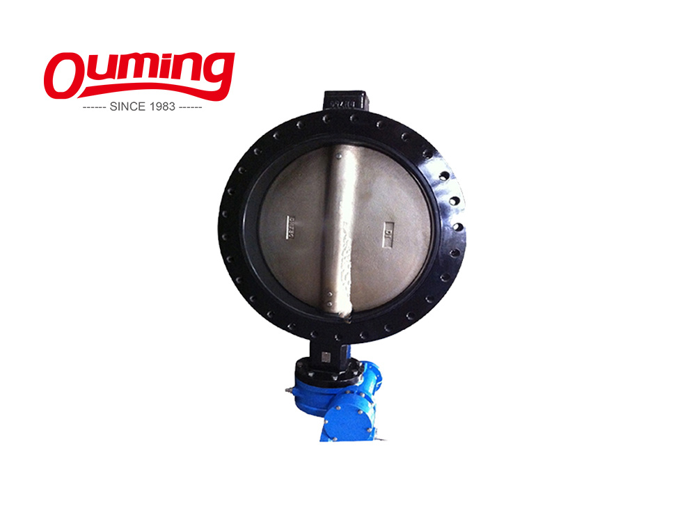 High Quality Epoxy Coating Cast Iron Luge Type Butterfly Valves