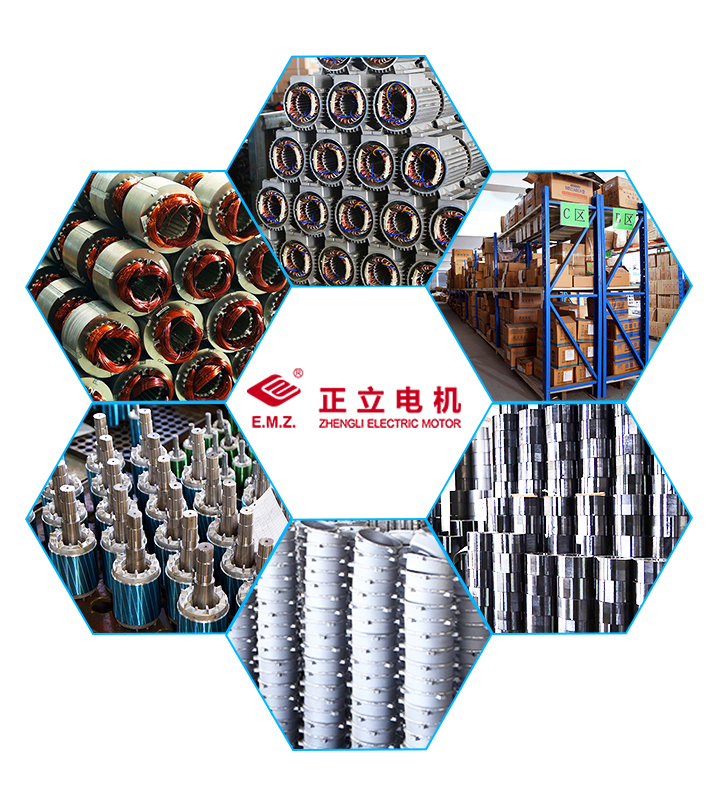 Special Motor for Stainless Pump Long Shaft AC Efficiency Electric Motor